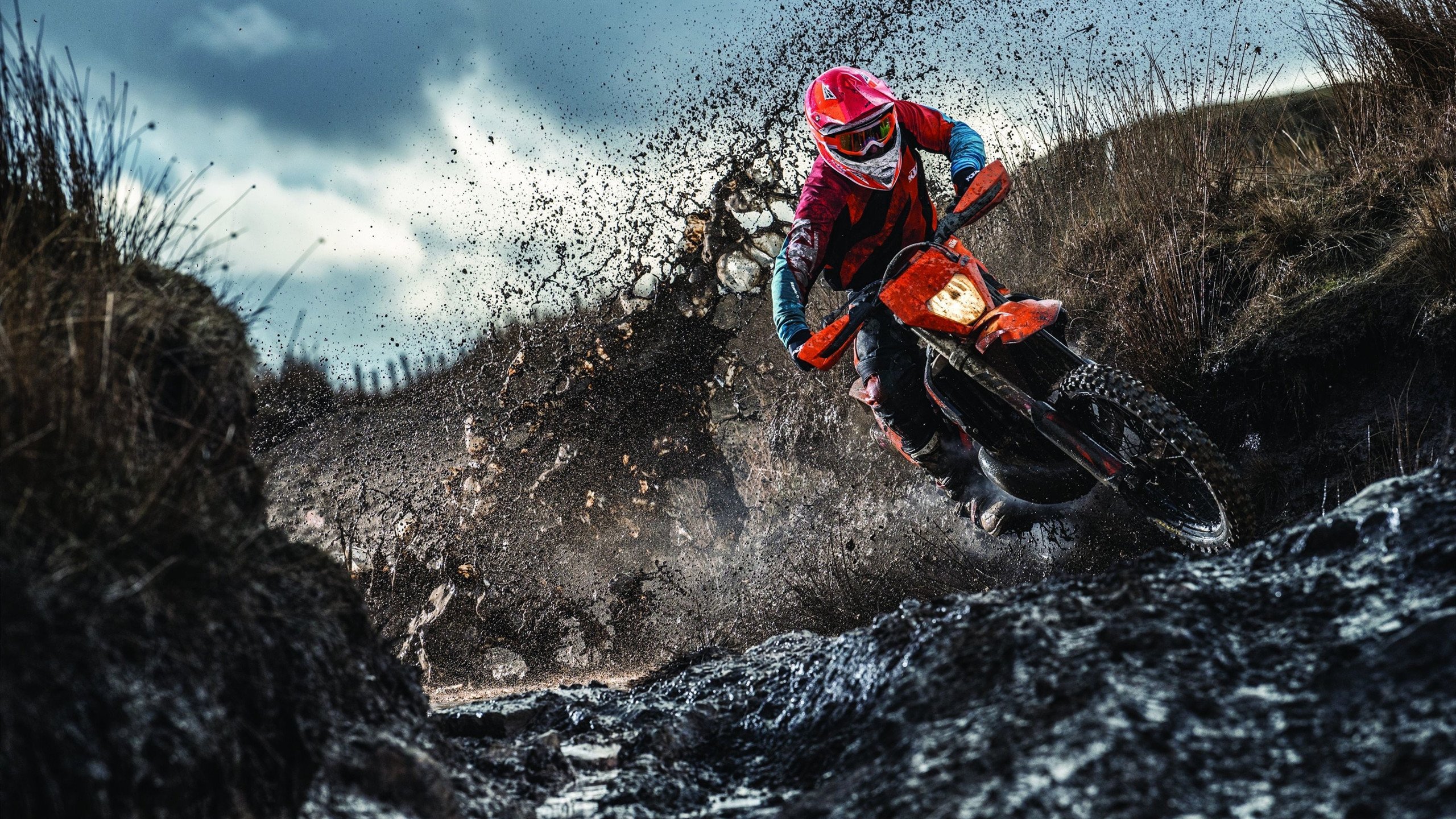 荷兰男足在预选赛中未能晋级巴黎奥运会，荷兰 男足